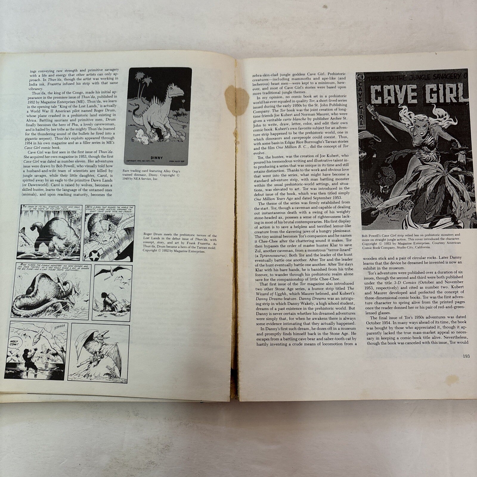 THE DINOSAUR SCRAPBOOK Book B&W Illustrated Donald Glut