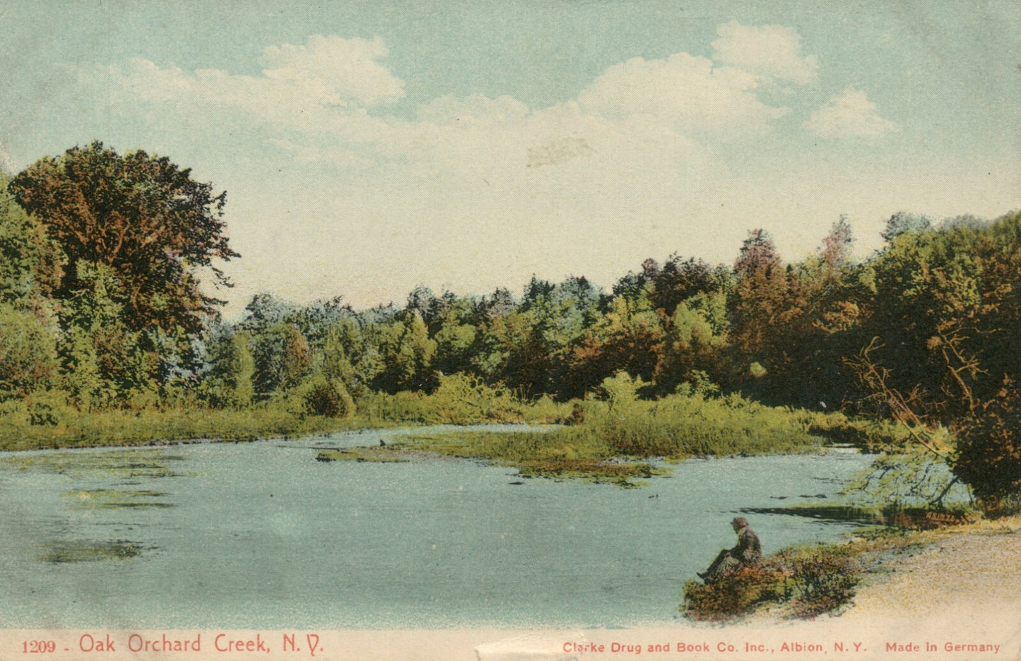 Oak Orchard Creek Scenic View New York NY Postcard