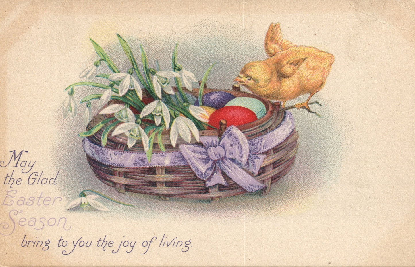 Stecher Chick Basket Red Blue Egg Easter Chick Postcard