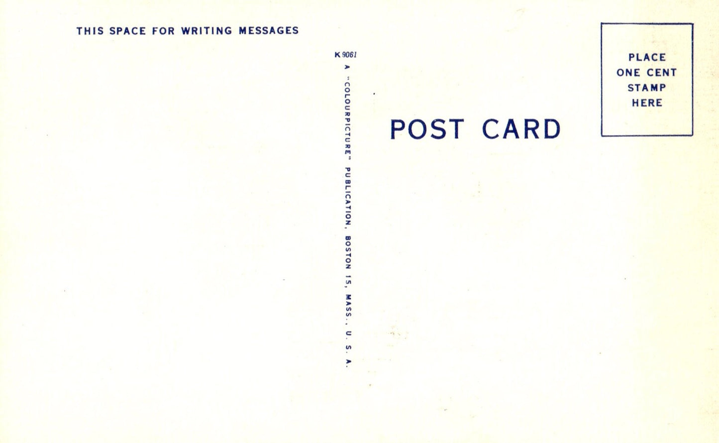 Giant Pandas New Your Zoological Park Panda Bear Animal Postcard