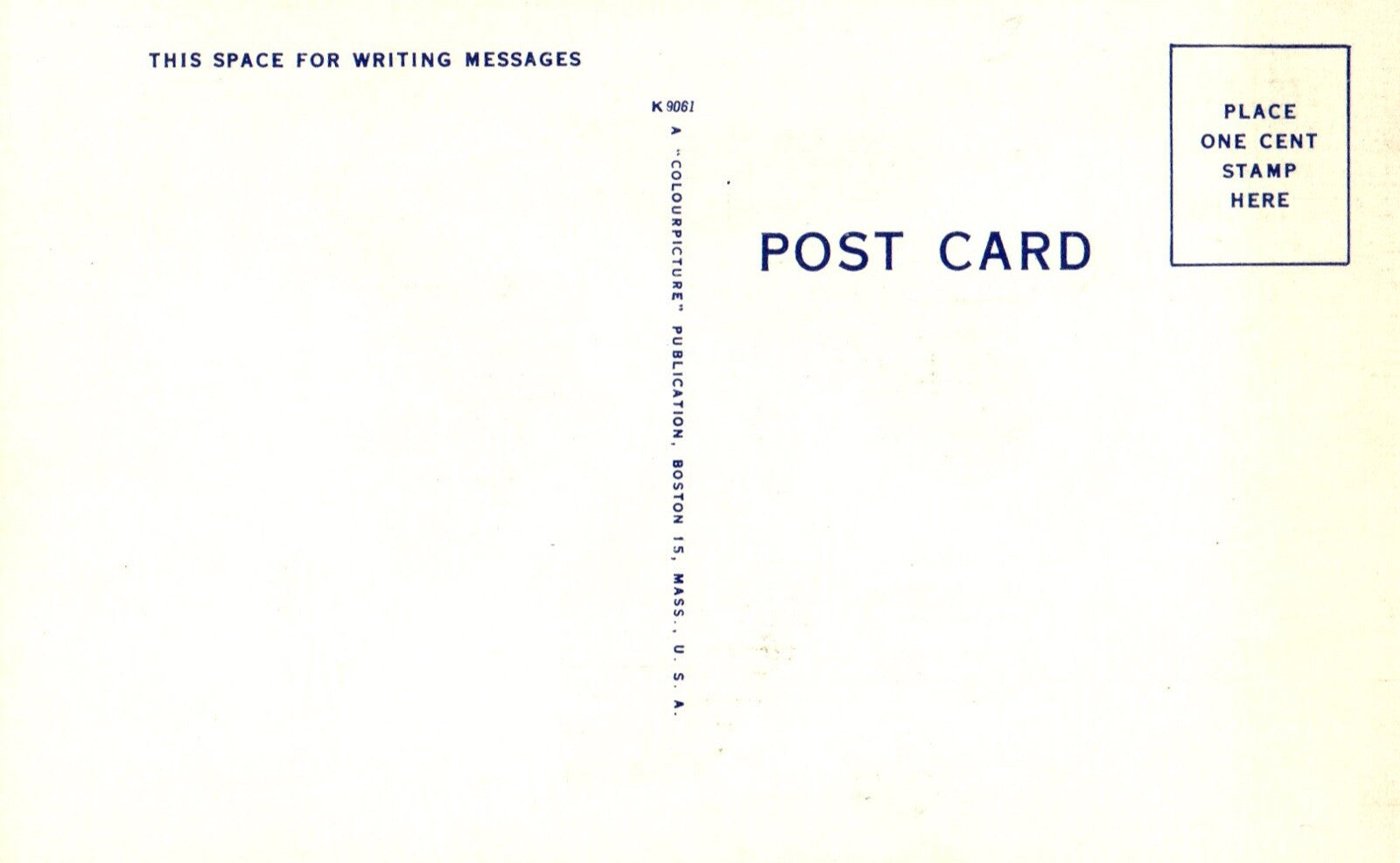 Giant Pandas New Your Zoological Park Panda Bear Animal Postcard