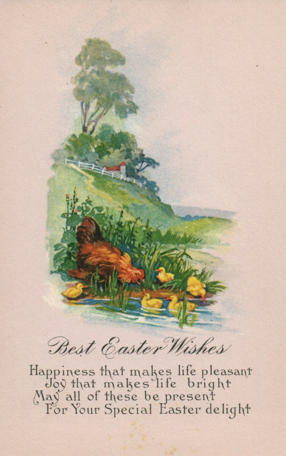 Hen and Chicks Swimming In River  Easter Wishes Postcard