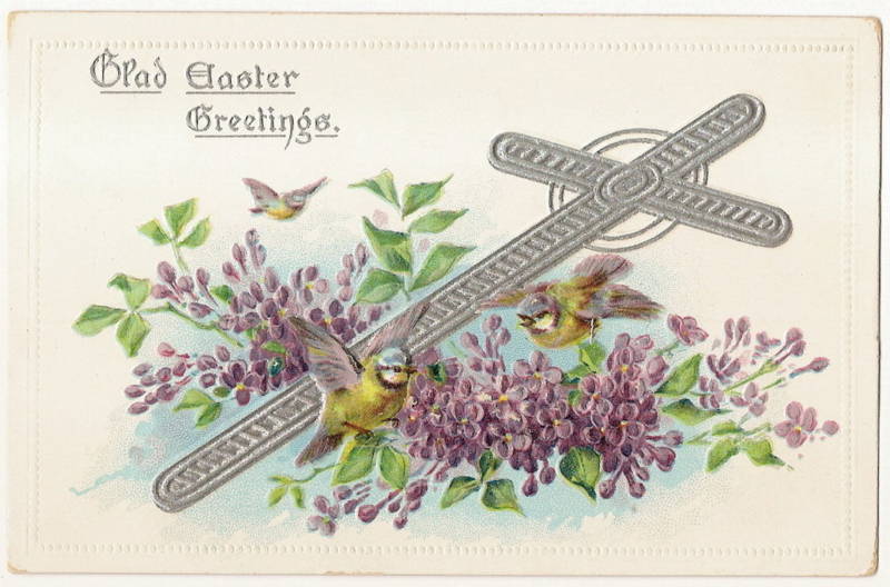 Tuck Bird Violet Flower Easter  Postcard Series 703
