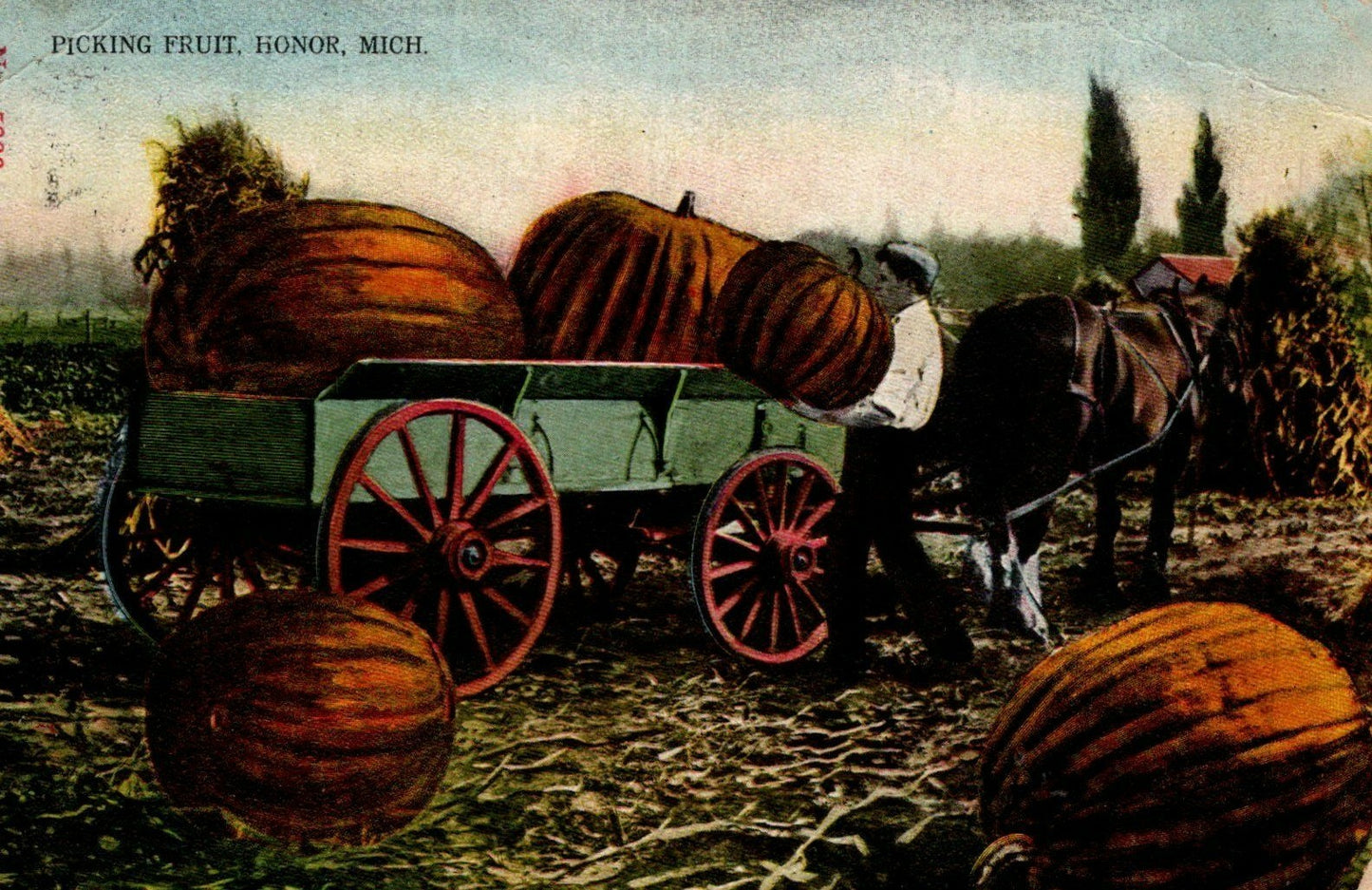 Picking Fruit Giant Pumpkins Wagon Horse Honor MI Mich Michigan Postcard 5866