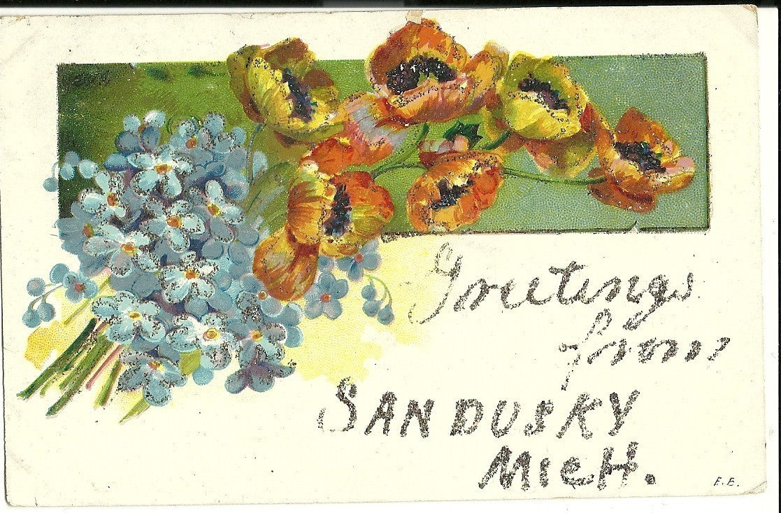 Greetings Sandusky MI Michigan Mich Postcard Poppy Flowers Forget Me Nots