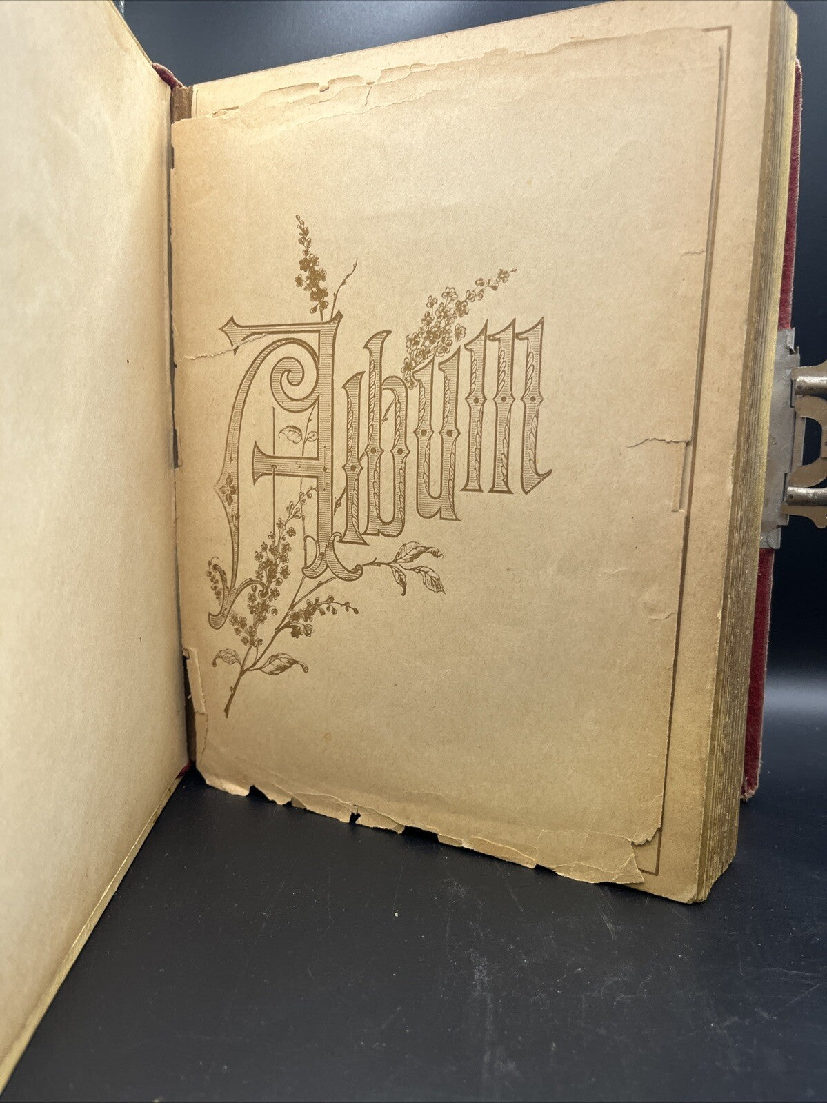 Antique Victorian Celluloid Photo Album