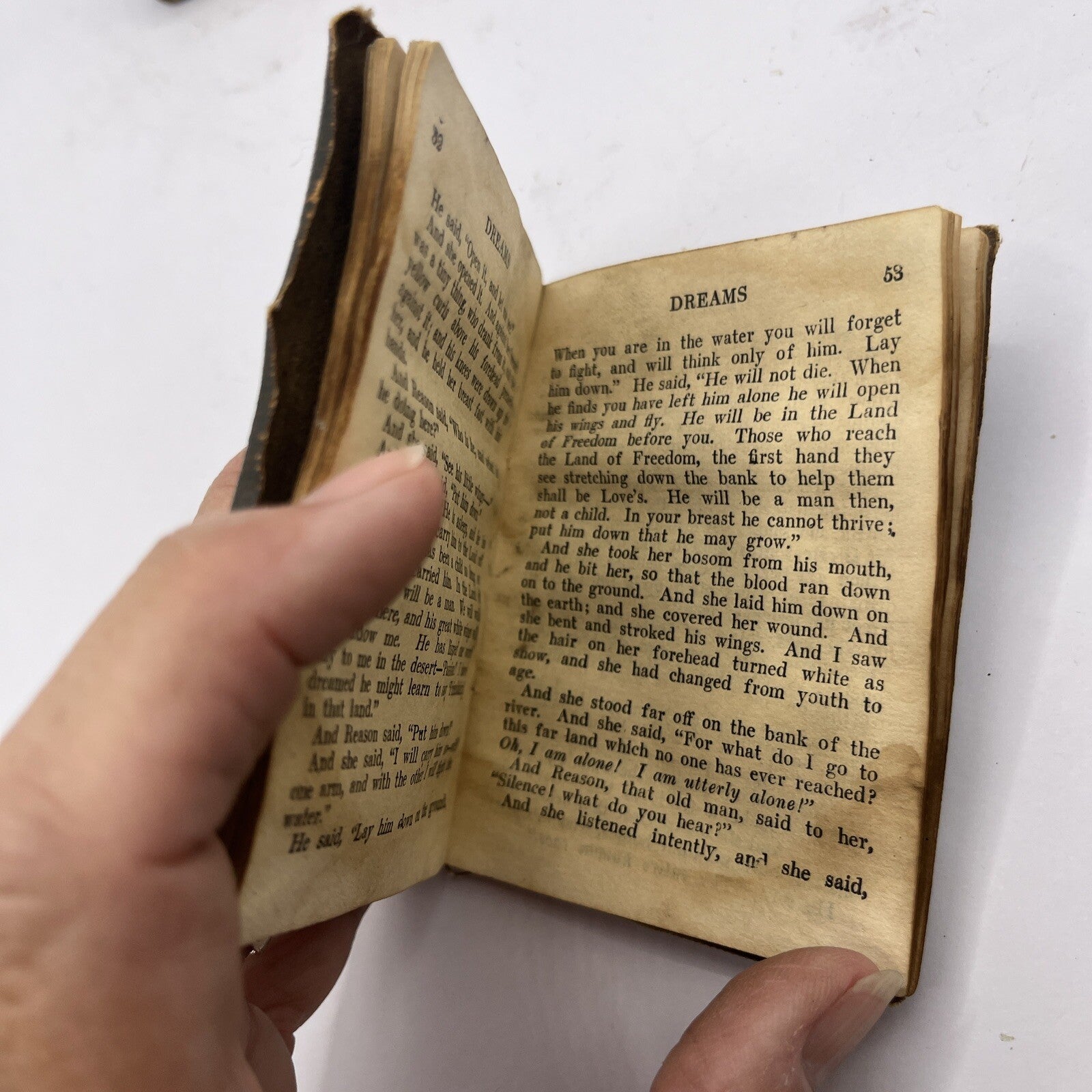 Little Leather Library Book - Dreams by Schreiner - 