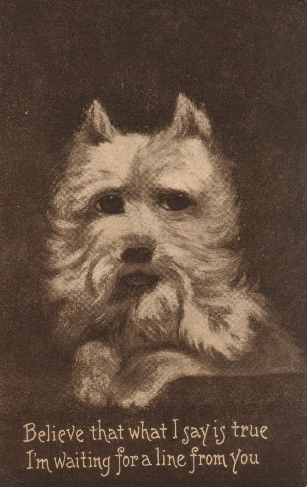 White Terrier Puppy "Believe that what I say is True" poem Dog Animal Postcard