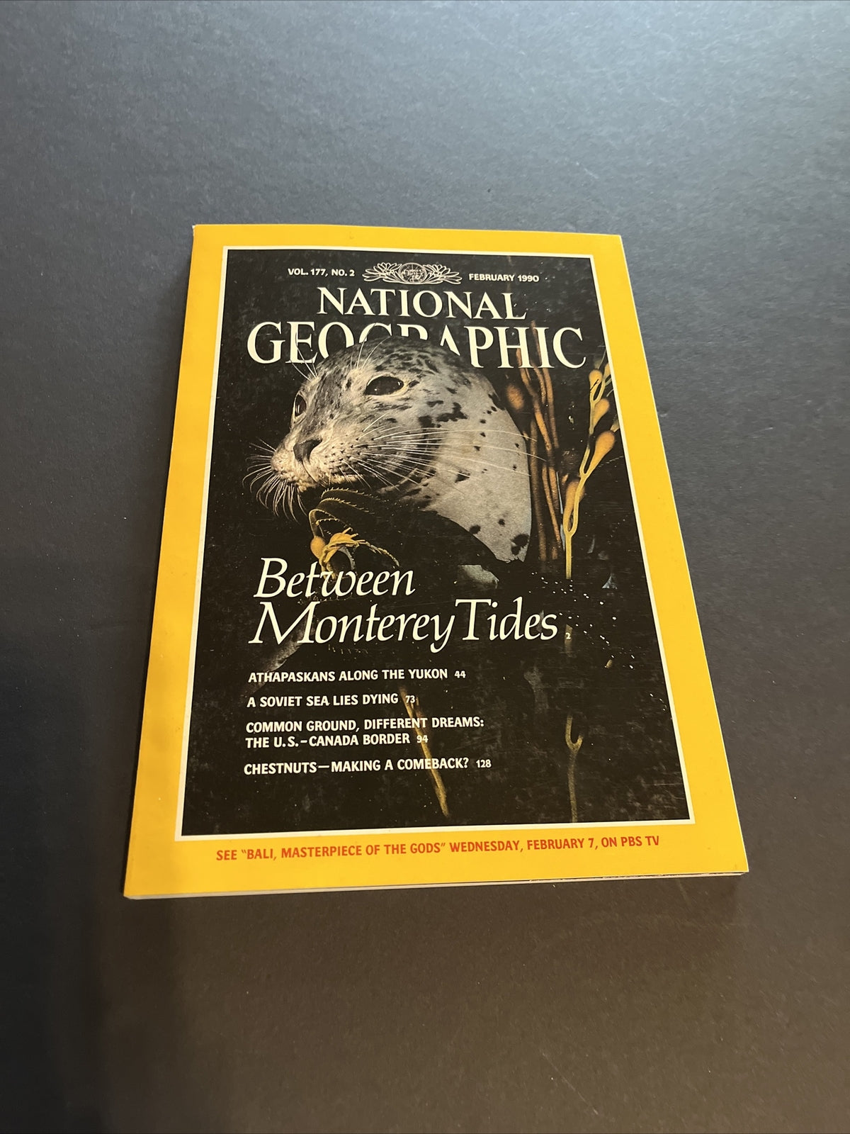 February 1990 National Geographic Magazine "Between Monterey Tides" 