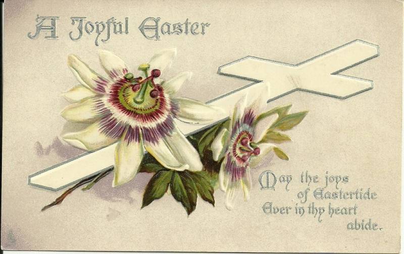 Tuck White Flower Easter Greeting Postcard Series 1726