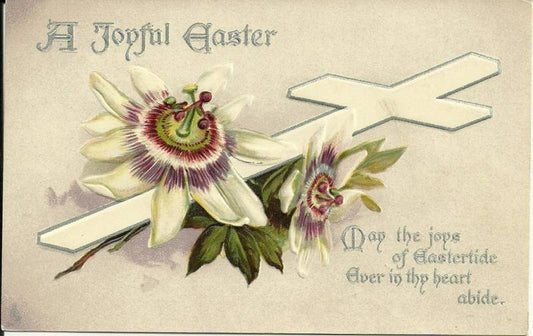 Tuck White Flower Easter Greeting Postcard Series 1726