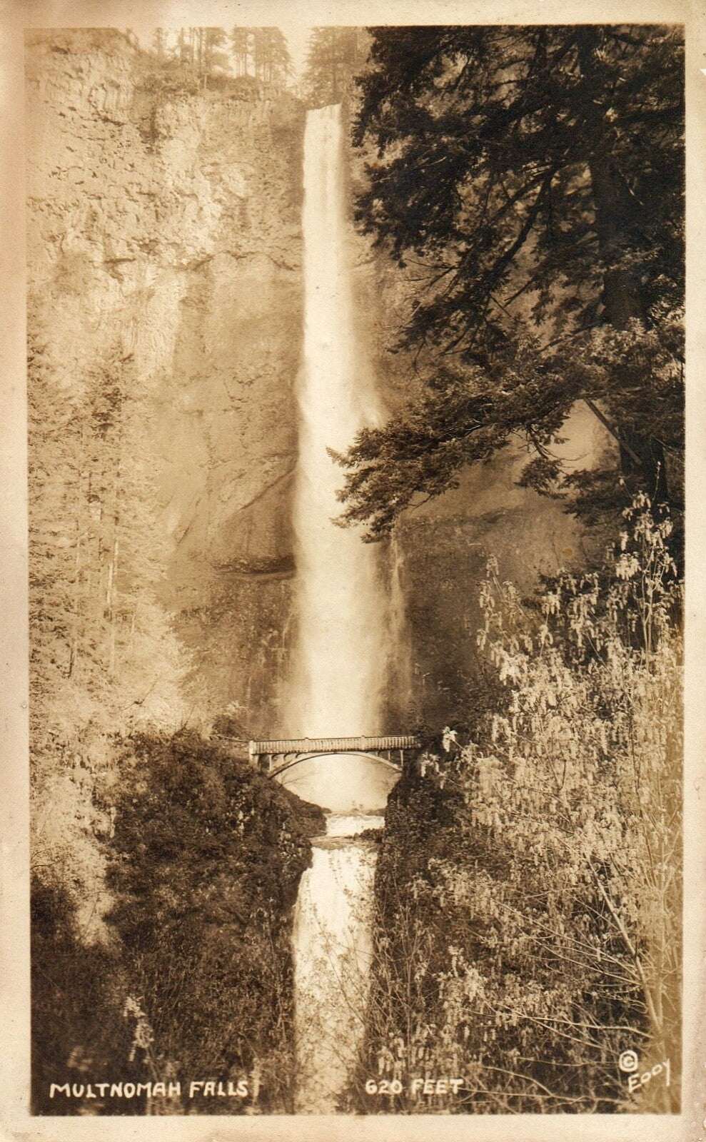 Multnomah Falls 620 Feet Oregon ? Vintage Oregon Postcard