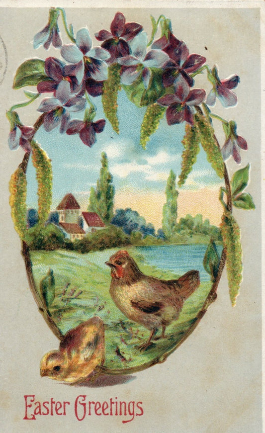 Chicks Standing In Grass By Pond Scenic View Happy Easter Greetings Postcard