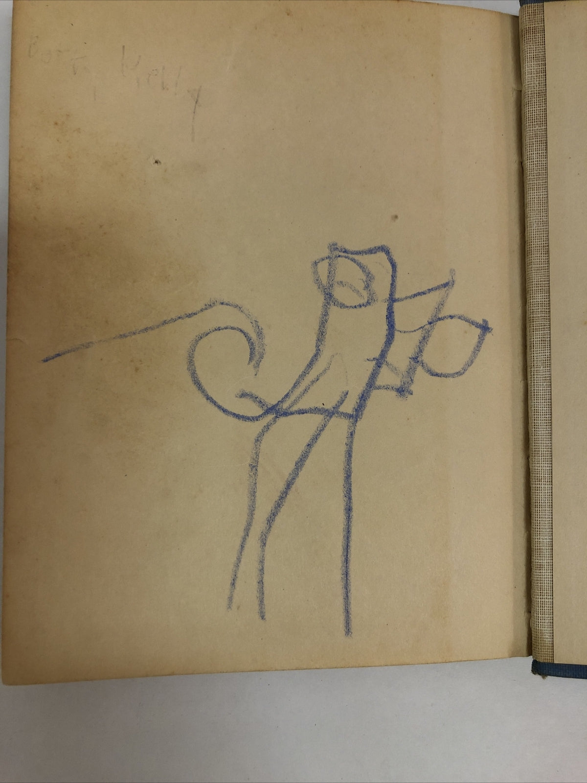 1906 Racketty Packetty House Frances Hodgson Burnett Book