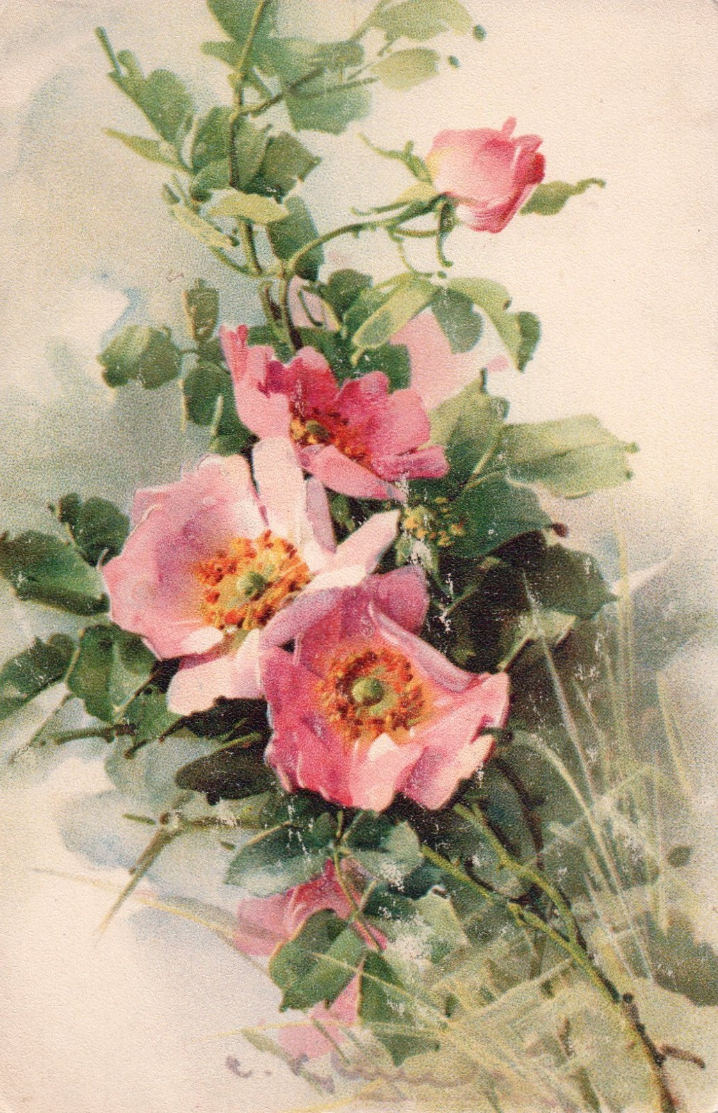 Artist Signed Catherine Klein Floral Pink Flowers # 243 Leubrie Elkus N Postcard