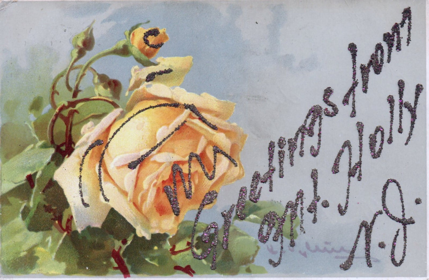 Greetings from Mt. Holly Floral Greeting Card New Jersey NJ Postcard