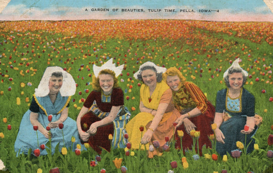 1944 A garden of Beauties Tulip Time Dutch tulips Pella  IA Iowa  Postcard