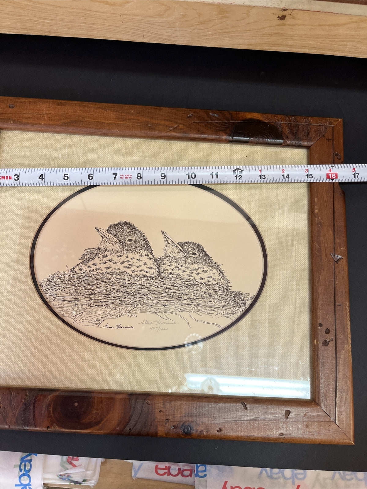 Framed Steve Leonardi Wildlife Graphics ~Robin~ Signed & # Limited Edition Print