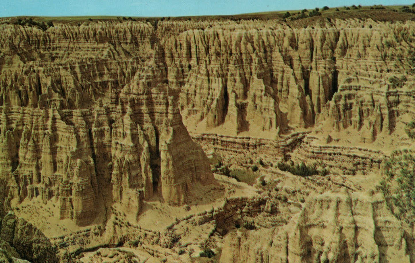 Badlands Country Sheep Mountain Cathedral Canyon South Dakota SD Postcard