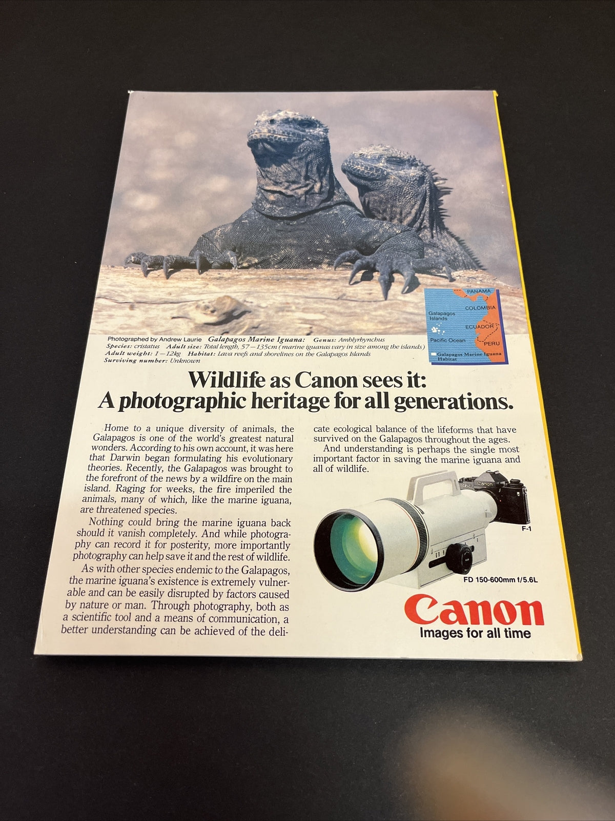 October 1985 National Geographic Arabia's Frankincense Trail