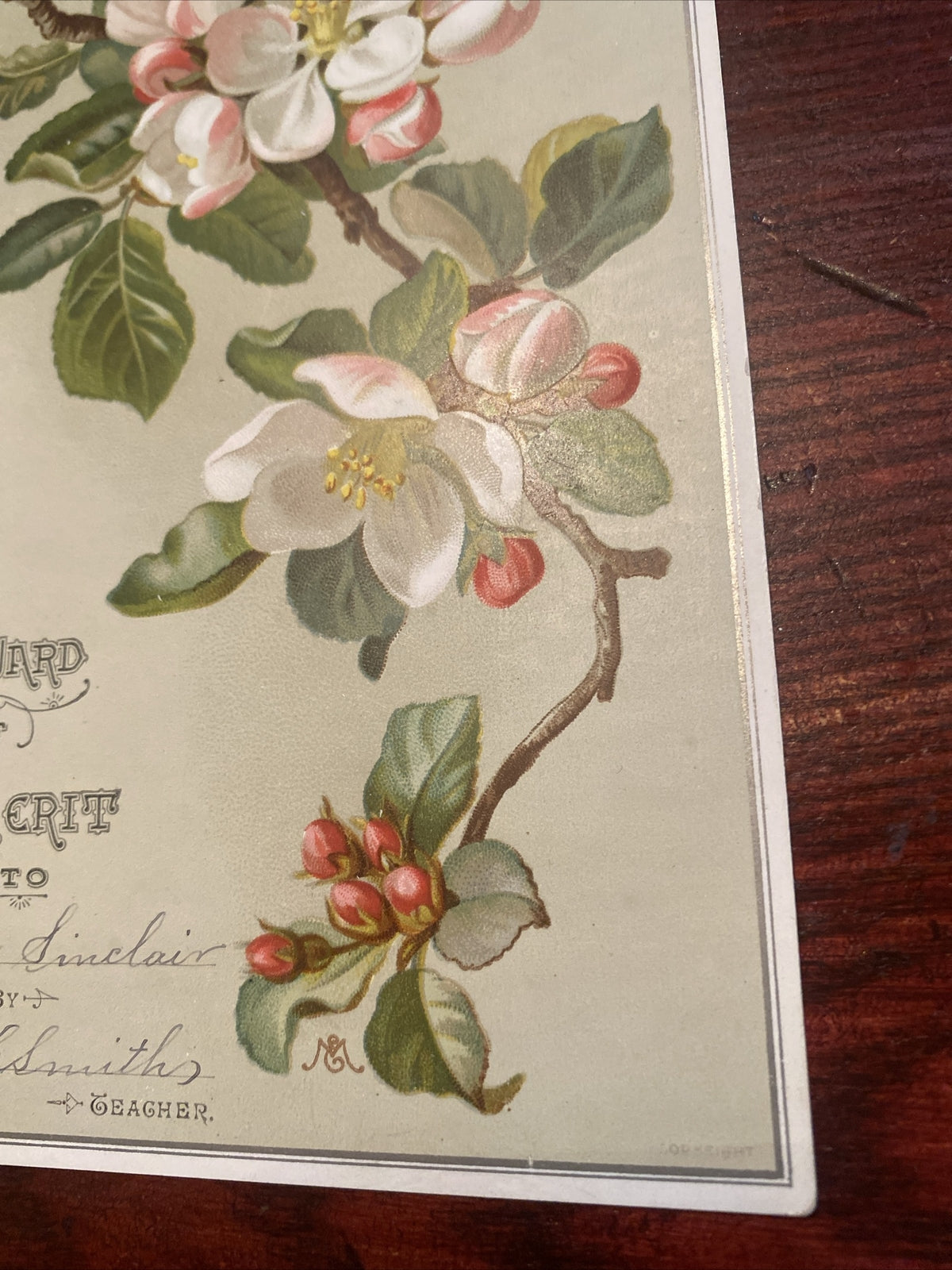 Reward of merit Vintage Victorian School Ephemera Apple Blossom Tree