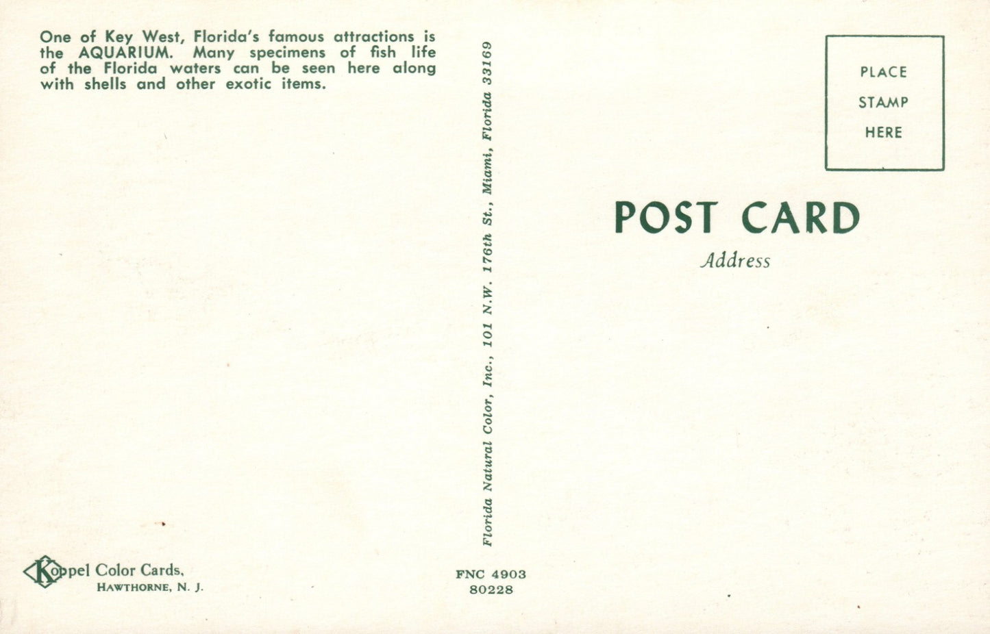  Aquarium Key West FL Florida Fish Life Shells Turtles Eel Advertising Postcard