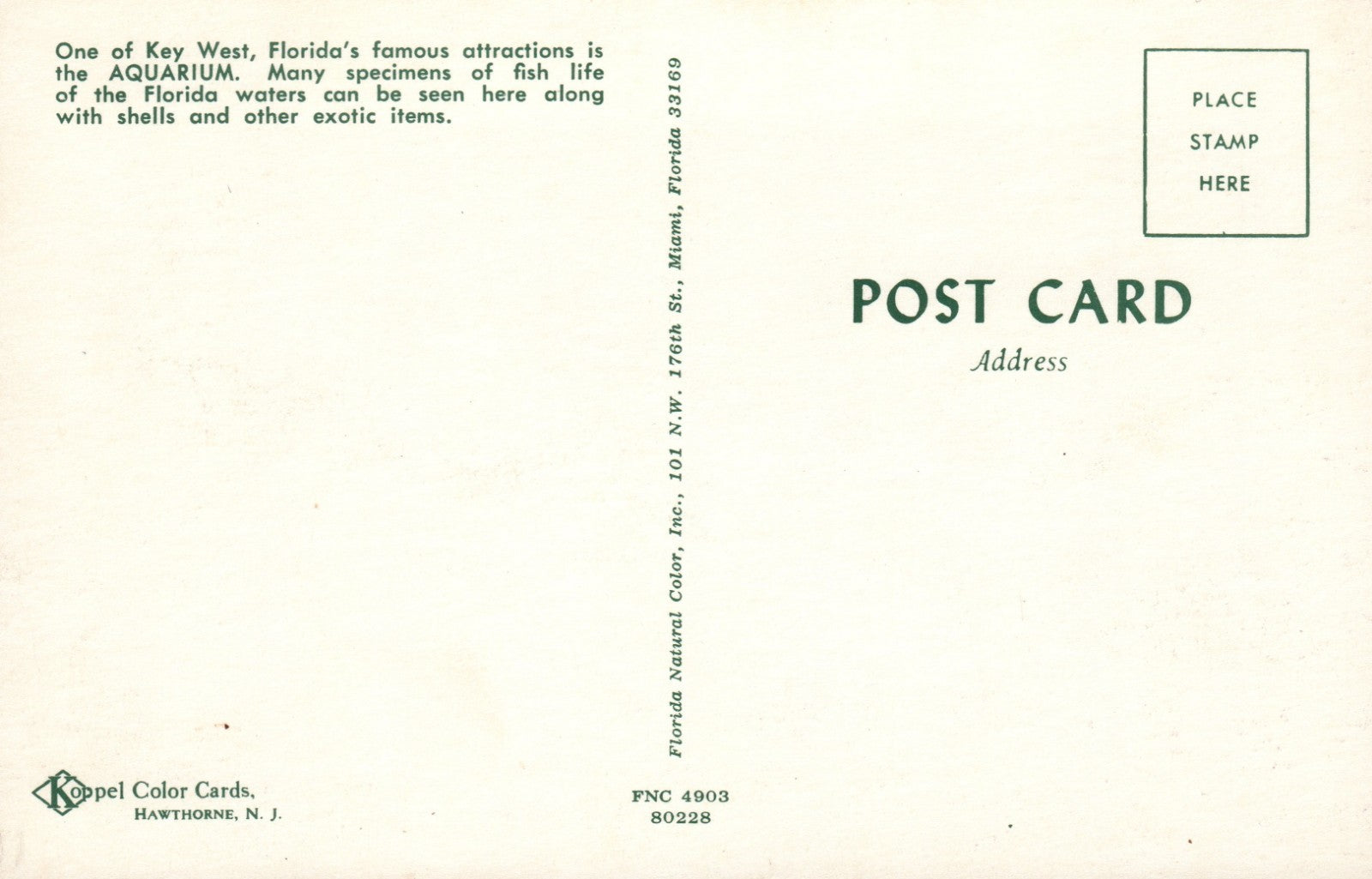  Aquarium Key West FL Florida Fish Life Shells Turtles Eel Advertising Postcard