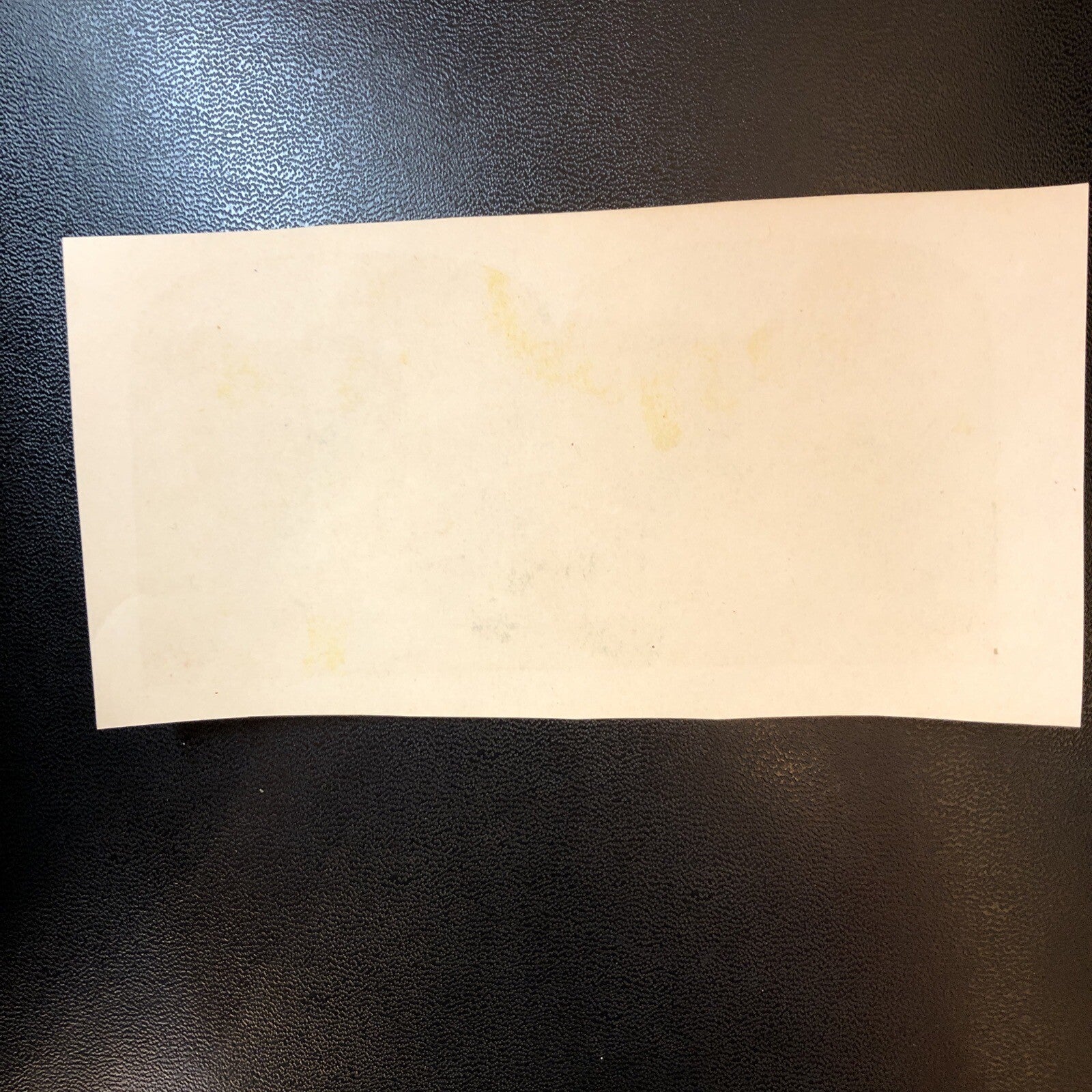 RARE Stereoview Paper Cards Nevada Horses Trail Waterfall