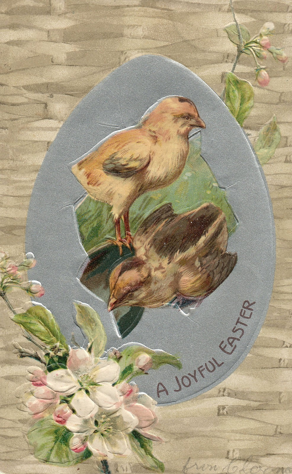 Early Nash Easter Chick Postcard Series