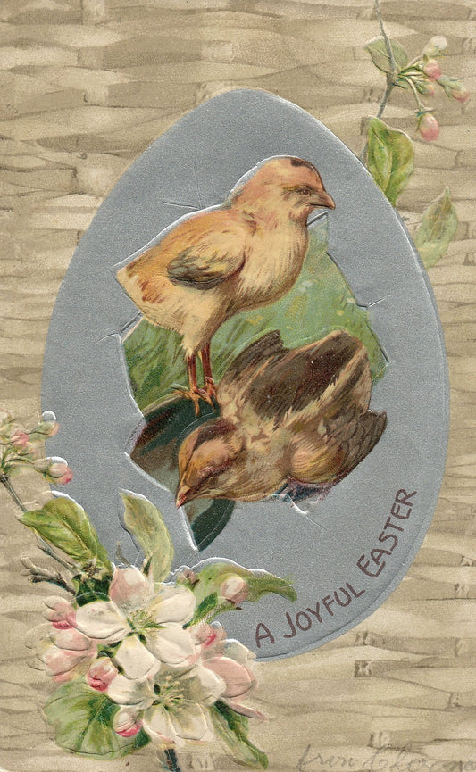 Early Nash Easter Chick Postcard Series