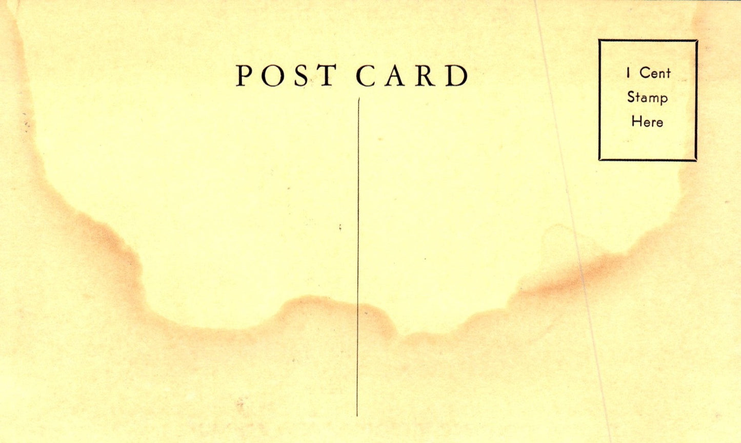 Silvermine Tavern Open Throughout the Year in Norwalk CT Connecticut Postcard