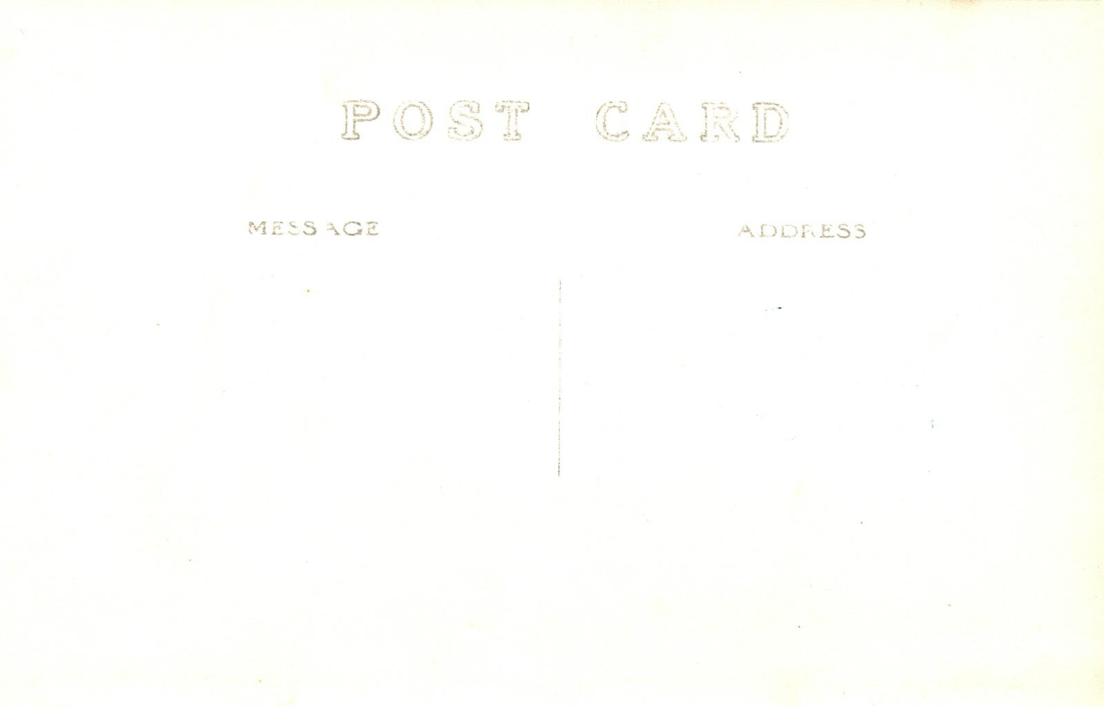  Real Photo Forest  trees Grayling MI Michigan