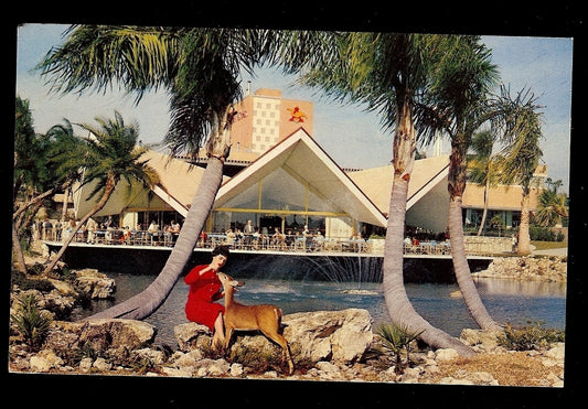 Hospitalisty House at Busch Gardens Tampa Florida Amusement Park Postcard