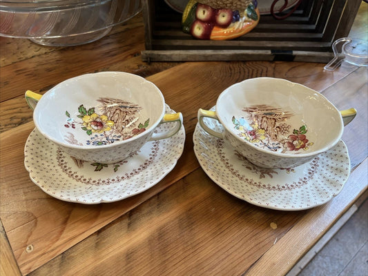 Royal Doulton Gratham China Cream Soup Double Handle Bowl / teacup Saucer D 5477
