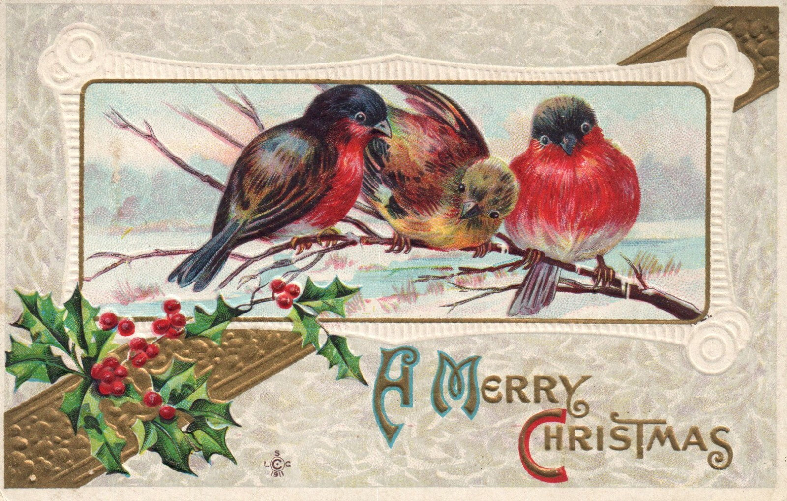 1911 Stetcher Bird 3 Birds on tree Christmas Postcard Series 210 E