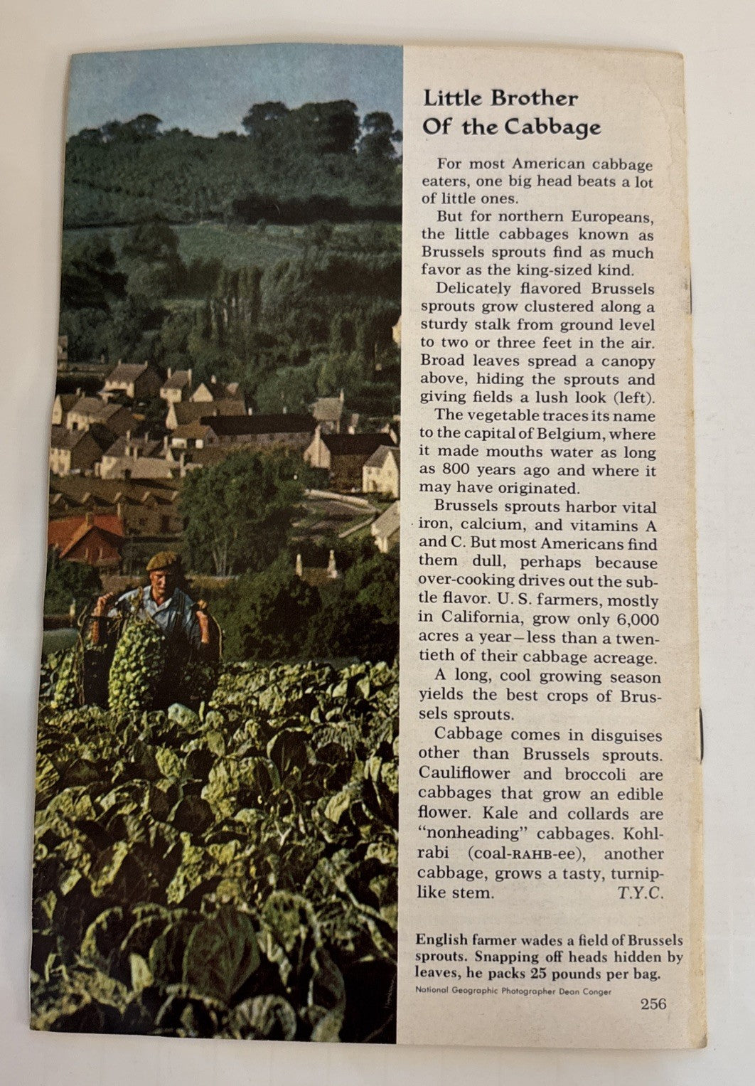 National Geographic School Bulletins Feb-May & Sept 1965 Lot of 5