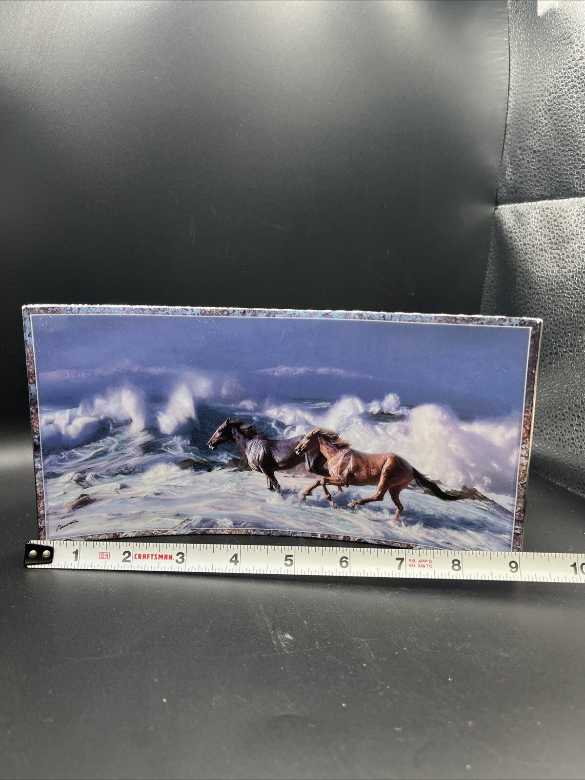 Bradford Exchange -UNTAMED MAJESTY  Freedom of the Sea Wild Horses A0435