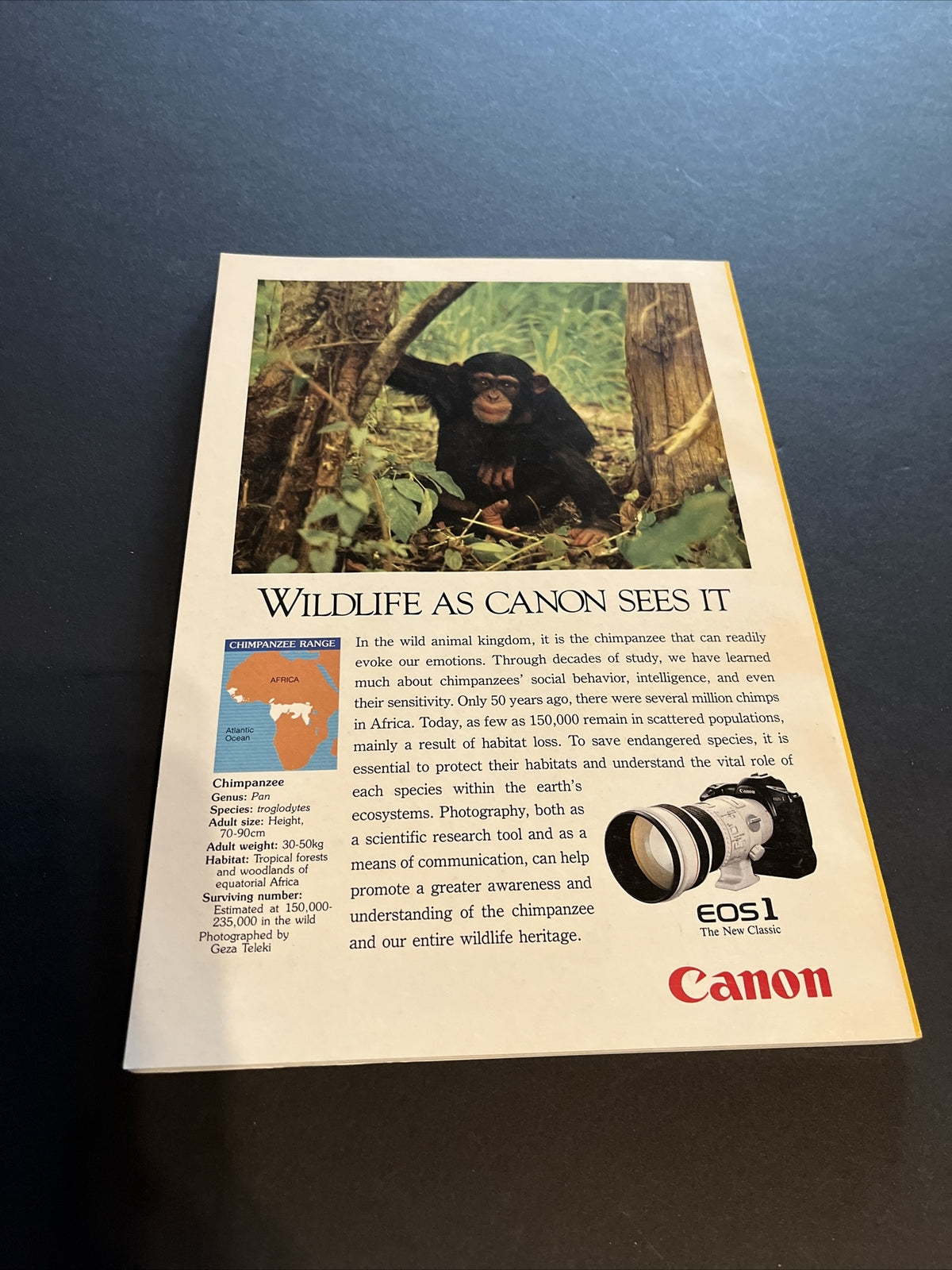 February 1990 National Geographic Magazine "Between Monterey Tides" 