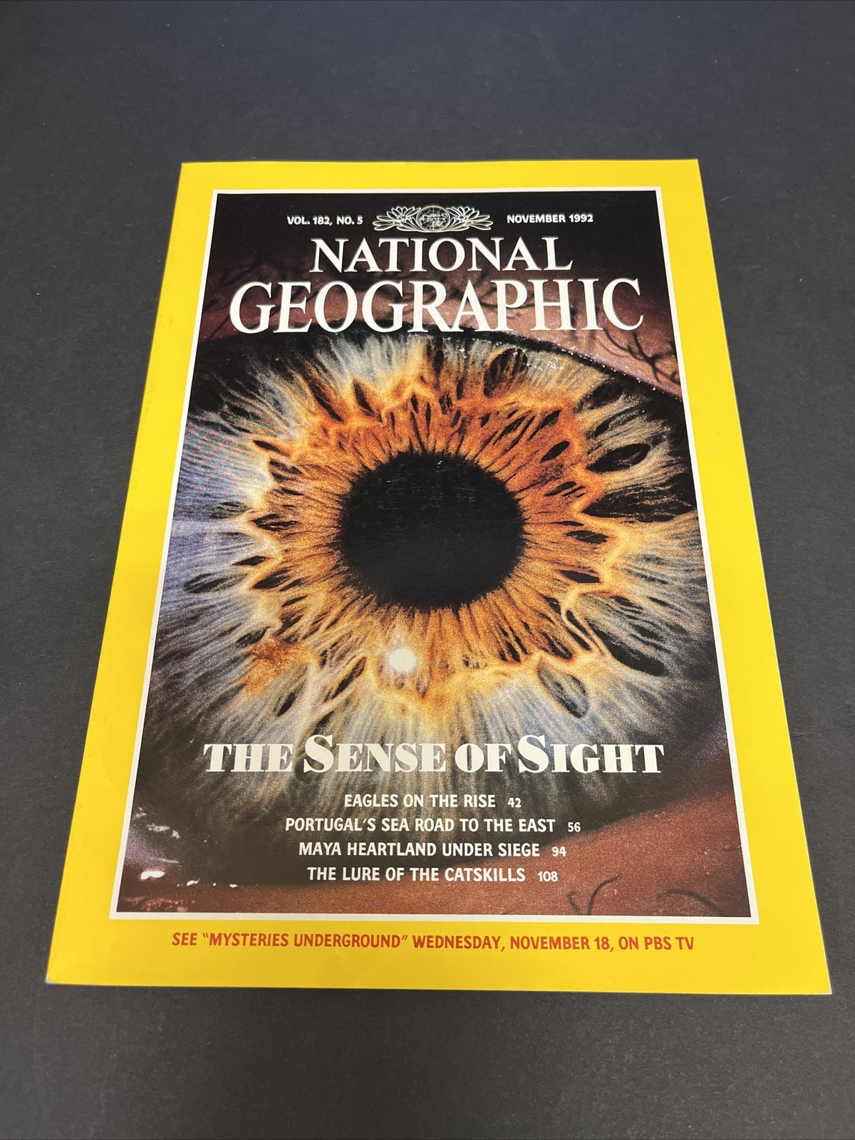 November 1992 National Geographic Magazine "The Sense of Sight"