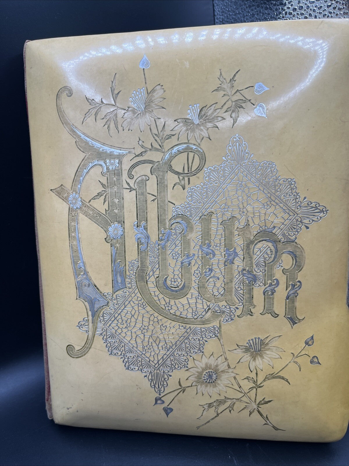 Antique Victorian Celluloid Photo Album