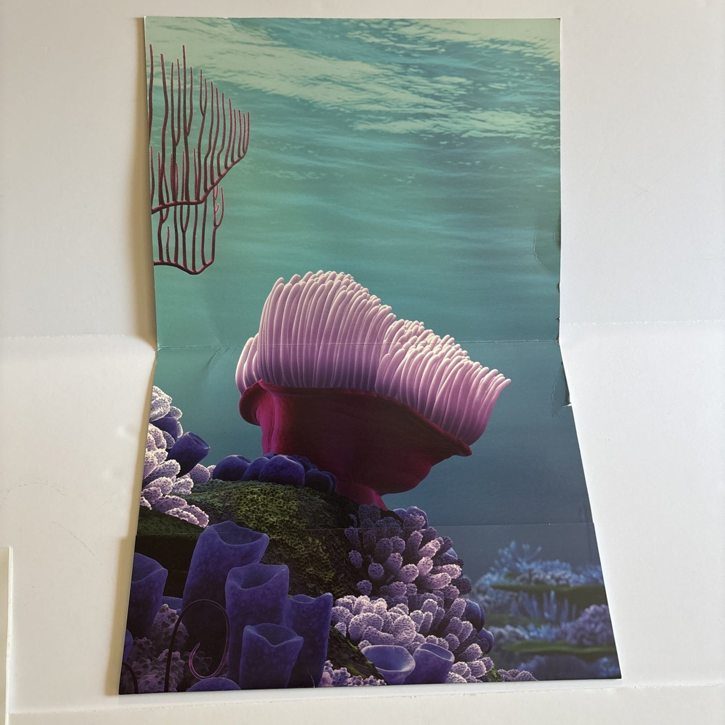 Finding Nemo Lithograph set of 4 Walt Disney Pixar