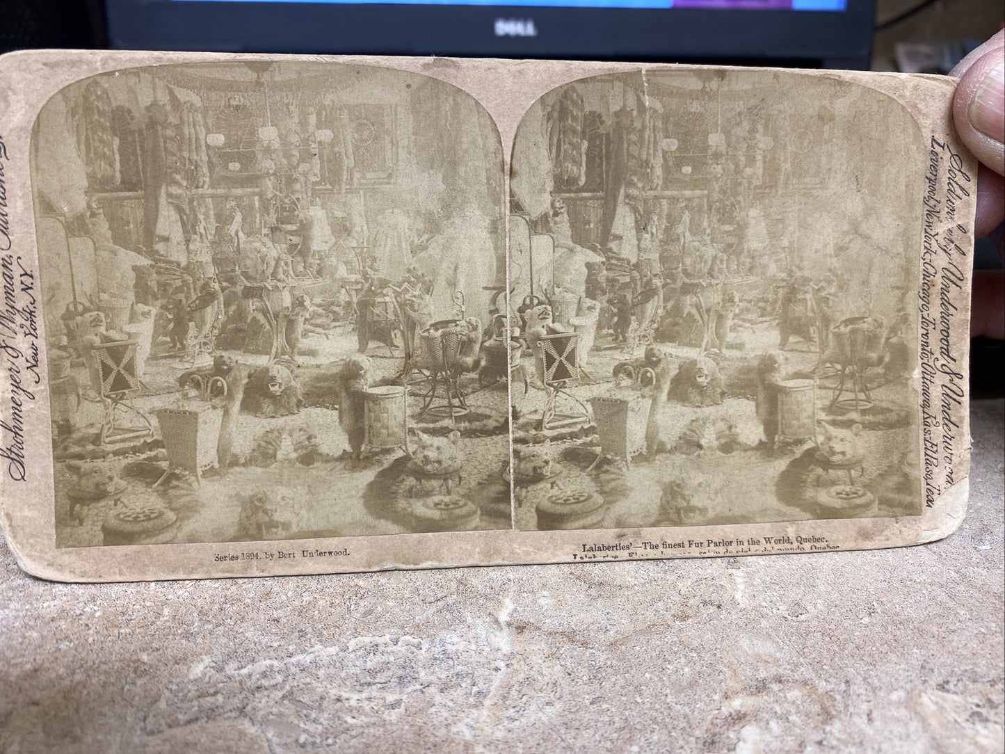 THE FINEST FUR PARLOR IN THE WORLD, QUEBEC. POLYCHROME STEREOVIEW Color Card