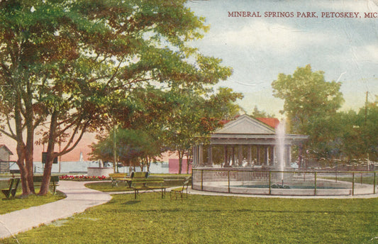 1921 Mineral Springs Park Michigan MI Postcard  9894