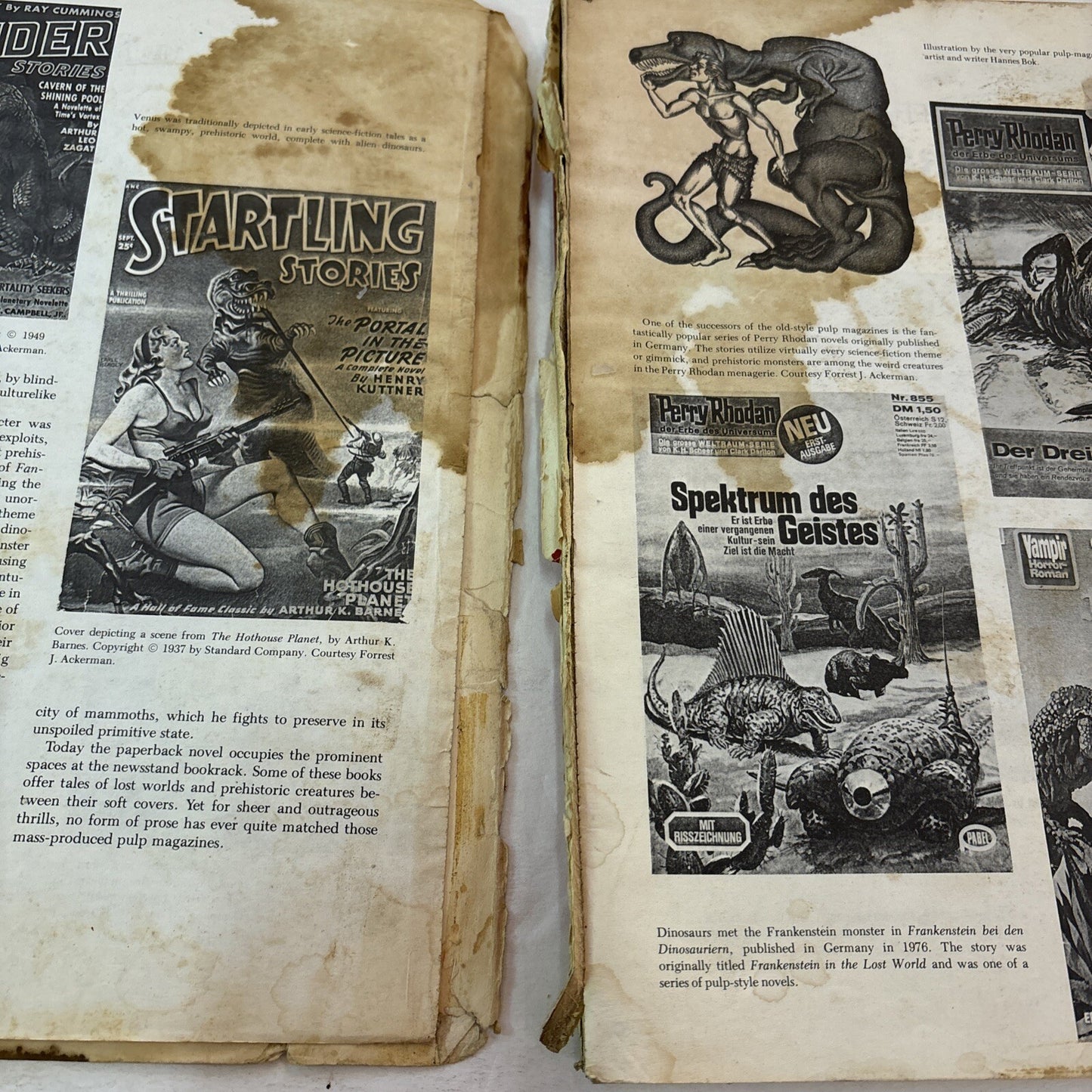 THE DINOSAUR SCRAPBOOK Book B&W Illustrated Donald Glut