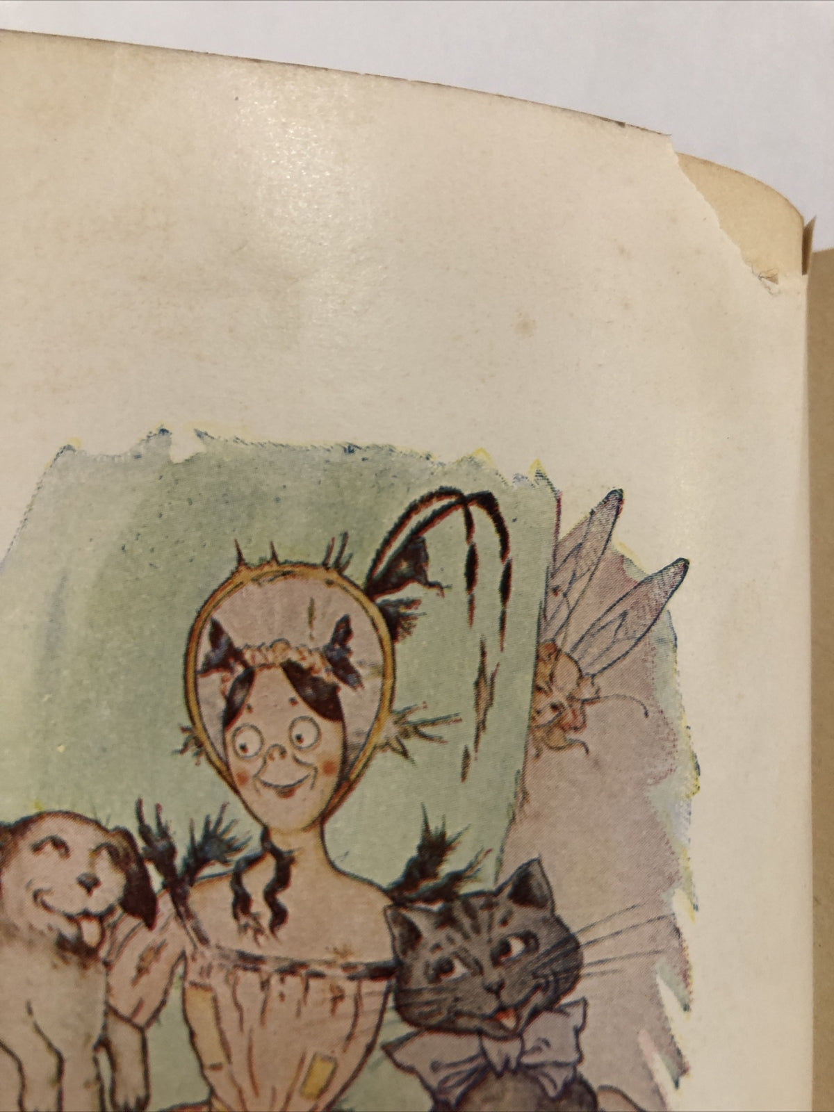 1906 Racketty Packetty House Frances Hodgson Burnett Book