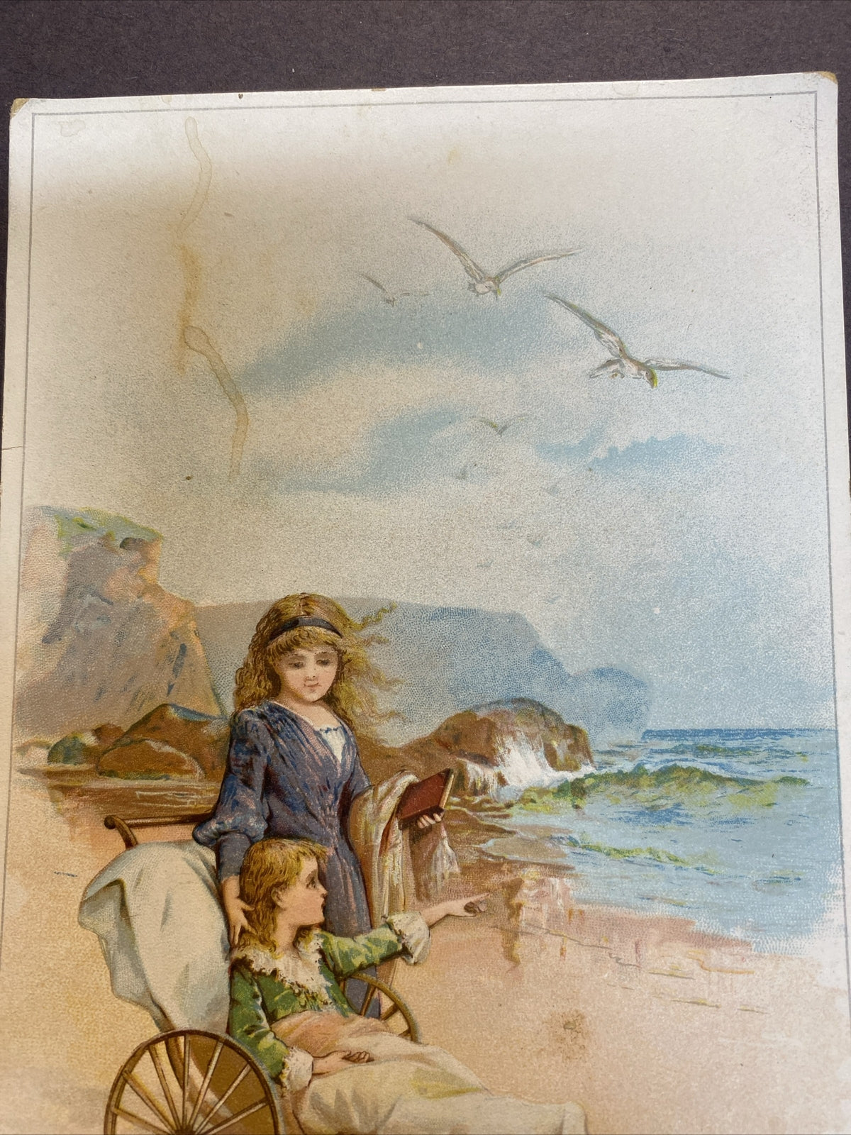 RARE Herpolsheimer's Grand Rapids Michigan MI Advertising Victorian Trade Card