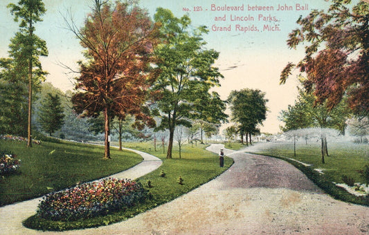 Boulevard Between John Ball & Lincoln Pk  Grand Rapids MI MICH MICHIGAN Postcard
