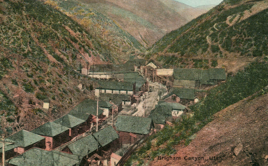 Brigham Canyon UT Utah Vintage Postcard