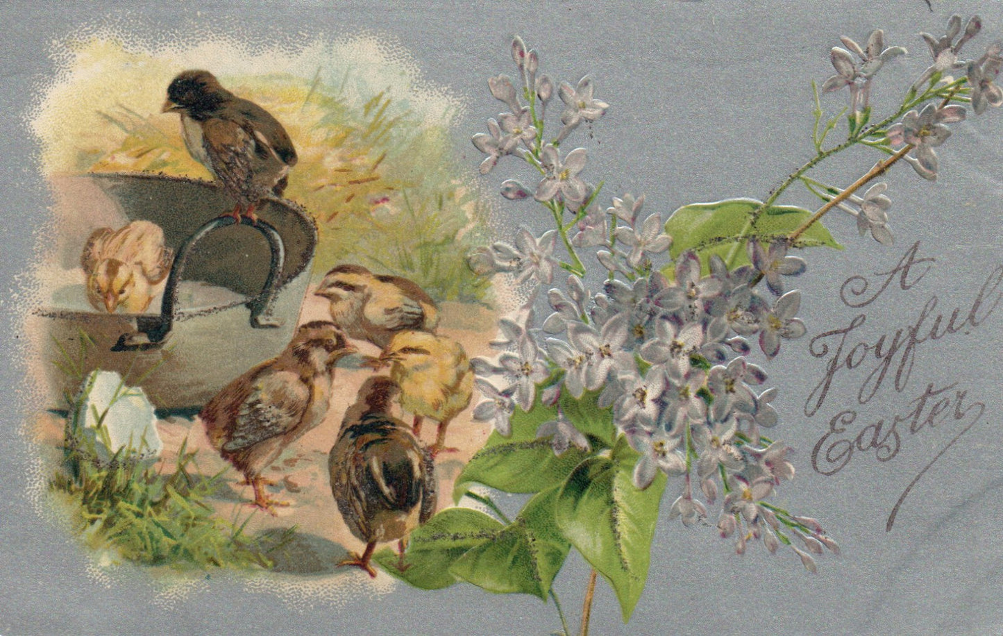 Early Nash Chicks Eating Violets Enjoying a View Easter Postcard