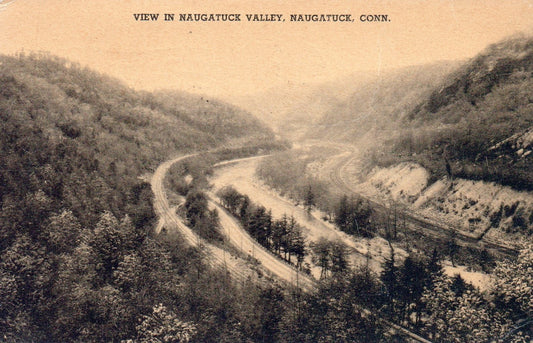 View in Naugatuck Valley in Naugatuck CT Connecticut Postcard